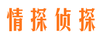 大英市侦探